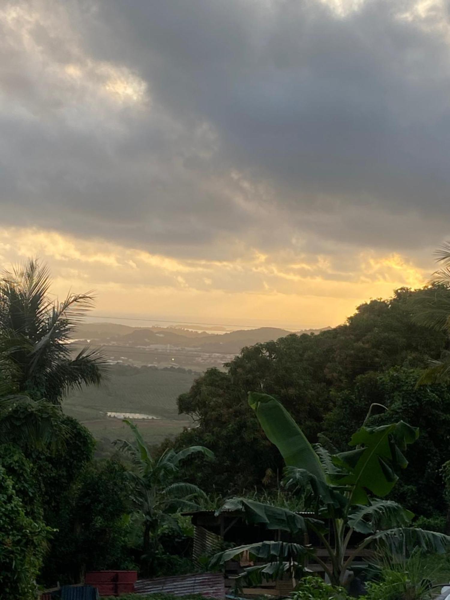 Vue Mer Le François Exterior foto
